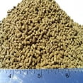 thumbnail image 1 of Aquatic Foods Spirulina Sinking Pellets for Shrimp, Axolotls, Snails All Bottom Fish - 2-lbs…Zeigler, 1 of 1