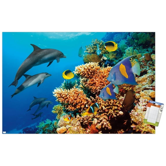 Aquatic Scene Wall Poster, 14.725" x 22.375"