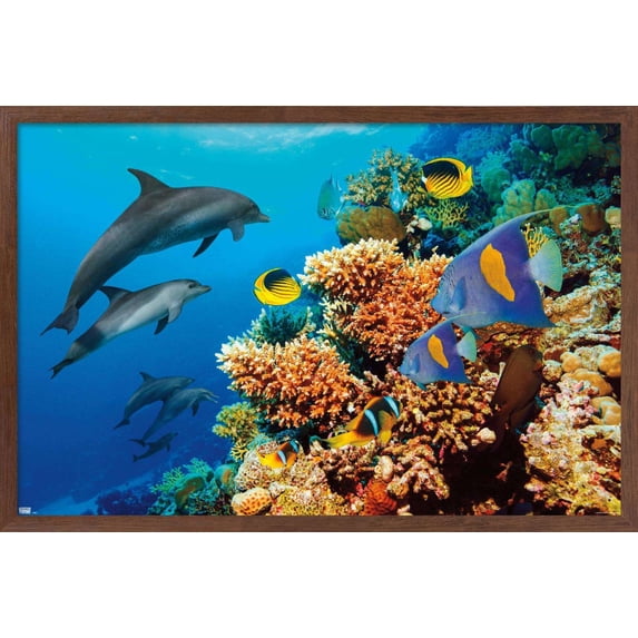 Aquatic Scene Wall Poster, 22.375" x 34", Framed
