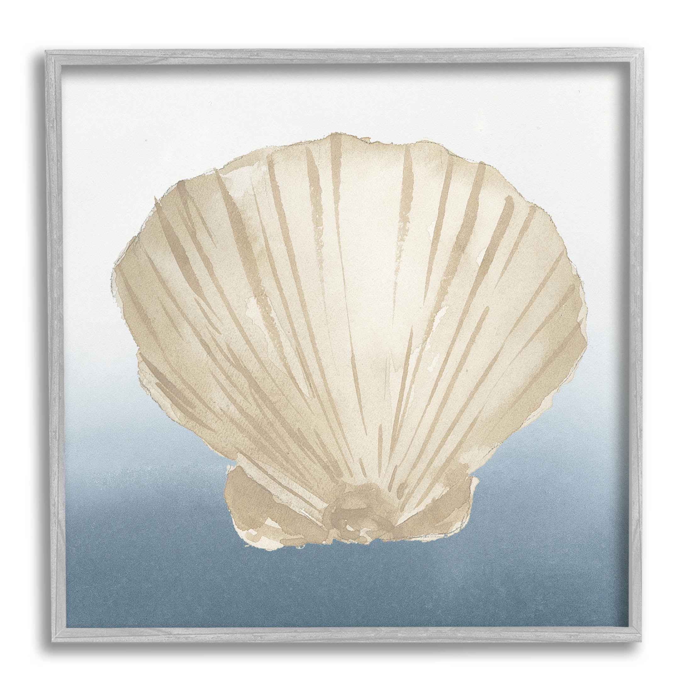 Aquatic Seashell Clam Composition Animals & Insects Graphic Art Gray Framed Art Print Wall Art