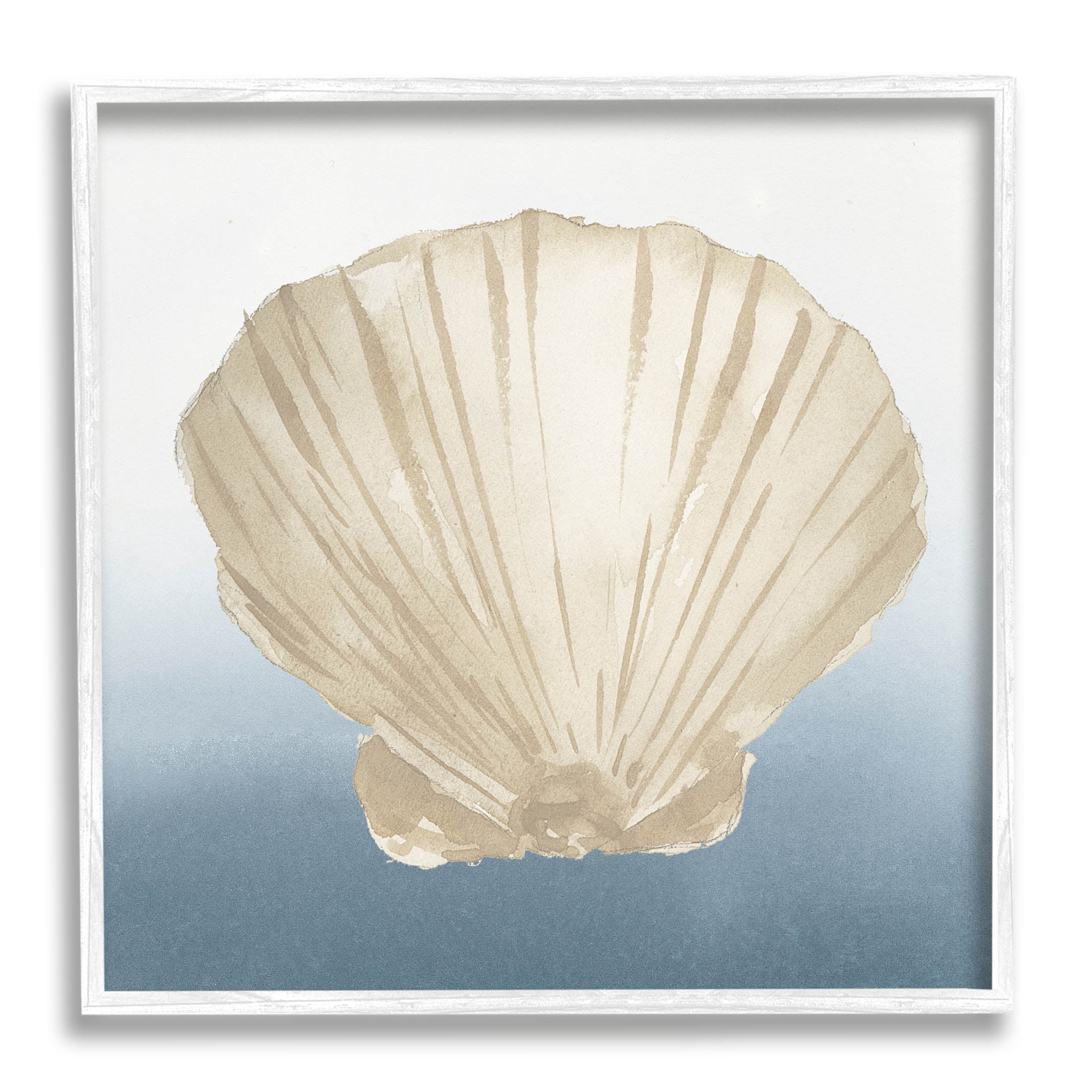 Aquatic Seashell Clam Composition Animals & Insects Graphic Art White Framed Art Print Wall Art