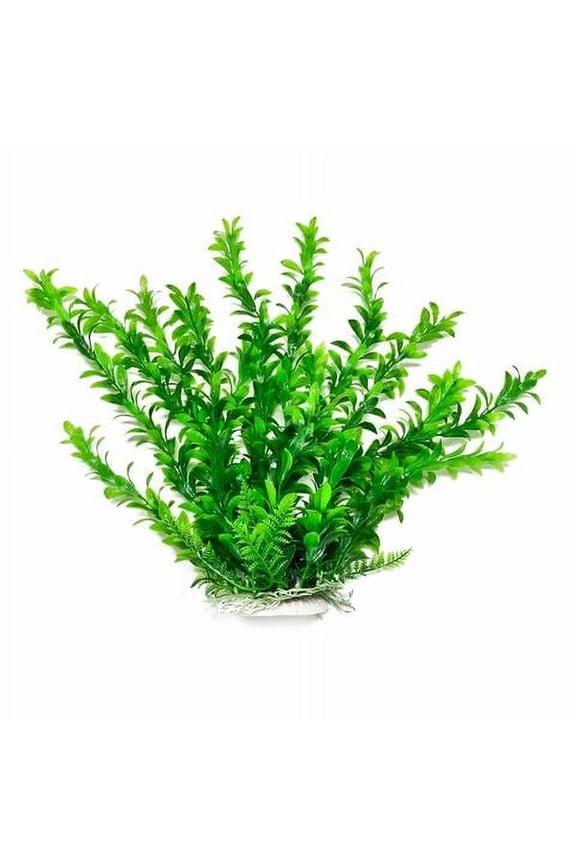 ® Anacharis-Like Aquarium Plant 12 Inch Green Color with Weighted Base PD-BH08
