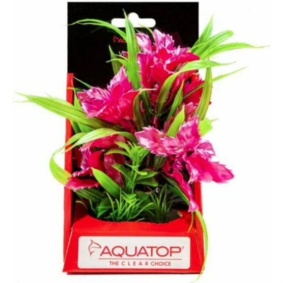 Aquatop Vibrant Passion Aquarium Plant Rose