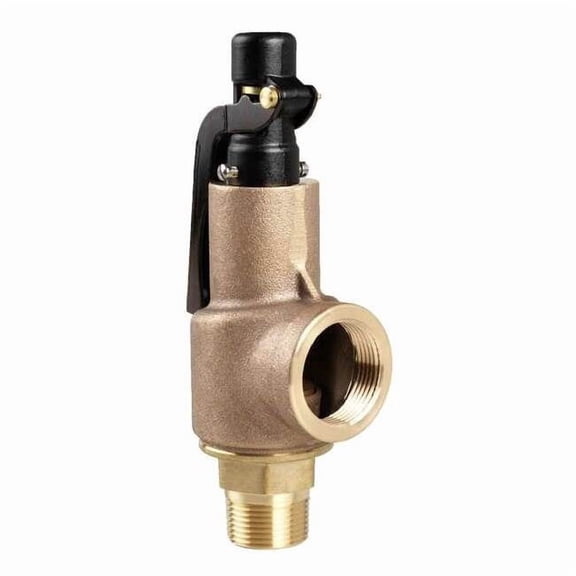Safety Relief Valve,1/2 x 3/4 In,125 psi 88A2A1M1K1-125