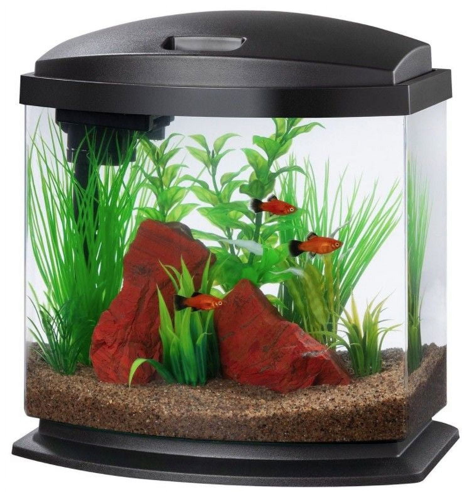 Black Acrylic 2.5 Gallon Desktop Aquarium Kit with LED