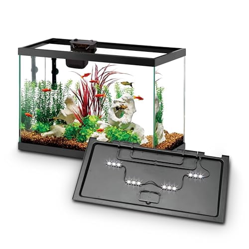 Pool Smart Start Kit Aqueon Aquarium Starter Kit with Smart Clean Filtration and LED ...