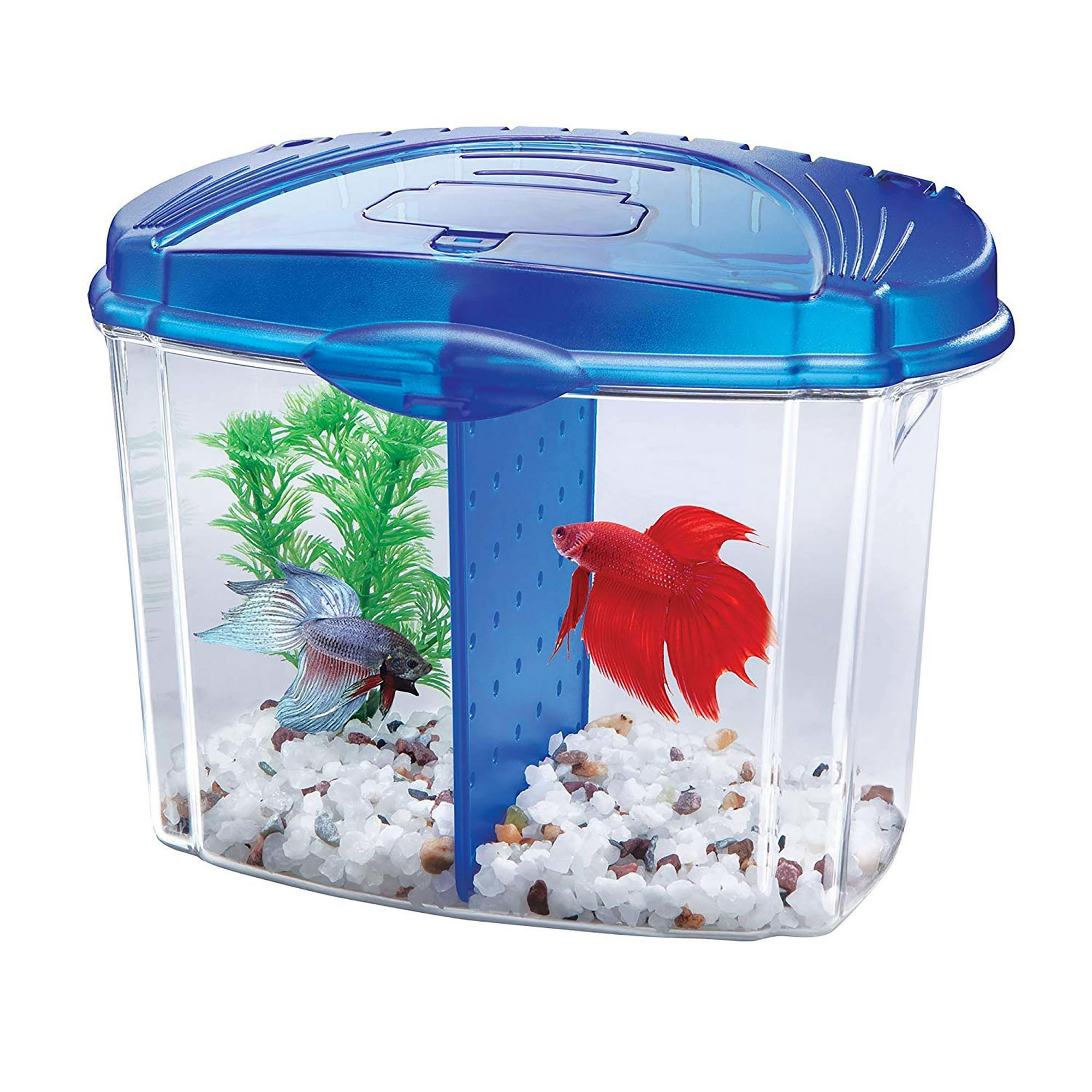 Quick Answer How Much For A Pet Fish At Walmart