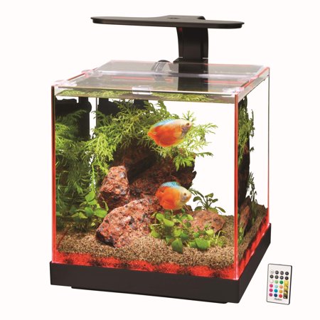 Aqueon Edgelit Cube Aquarium, 4 Gallon