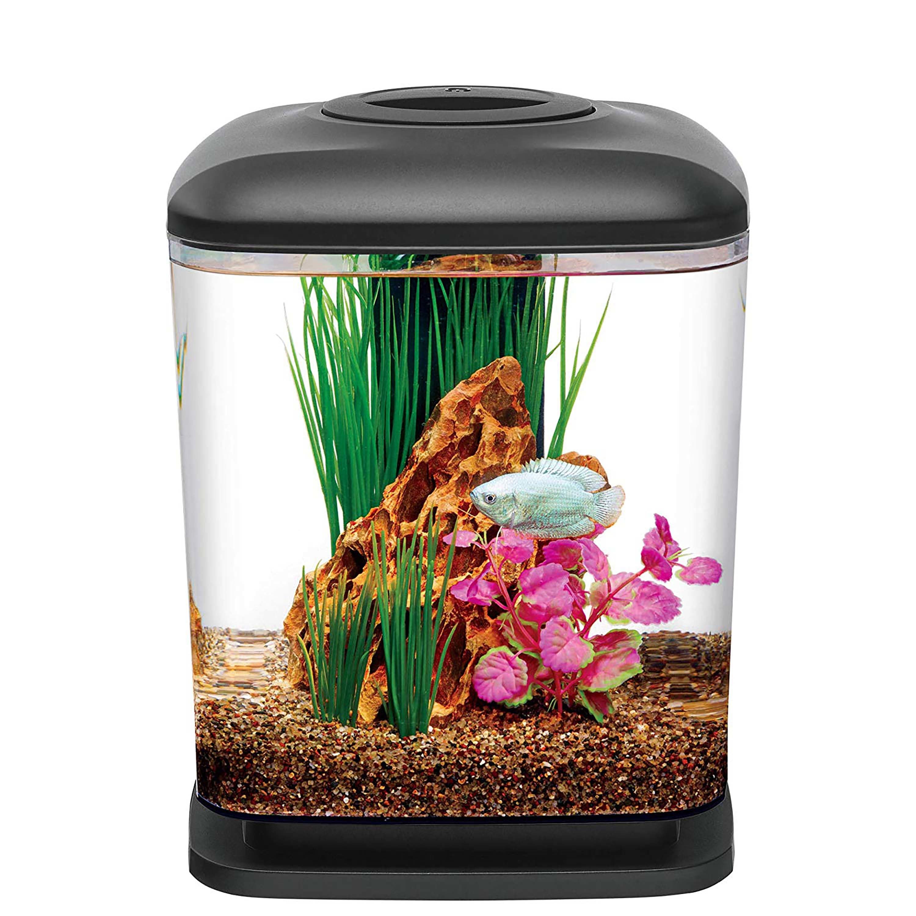 Aqueon LED MiniCube Desktop Aquarium Kit Black 1.6 Gallon 1.6 Gallons 