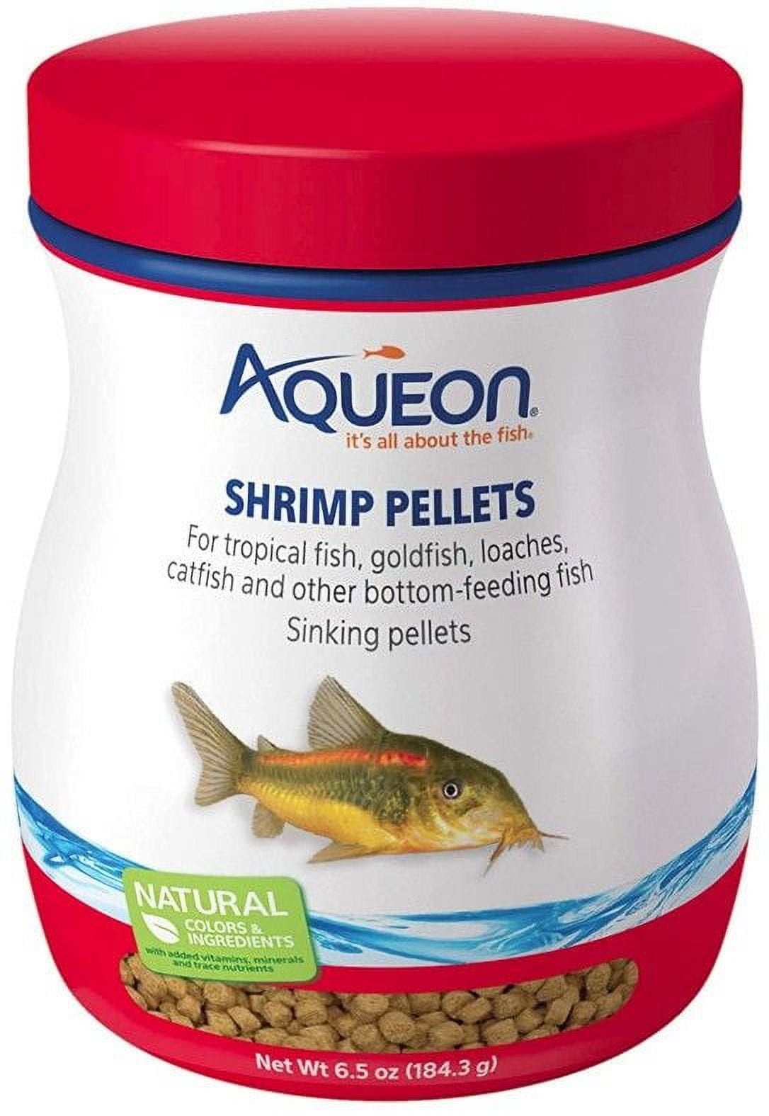 Aqueon shrimp clearance aquarium
