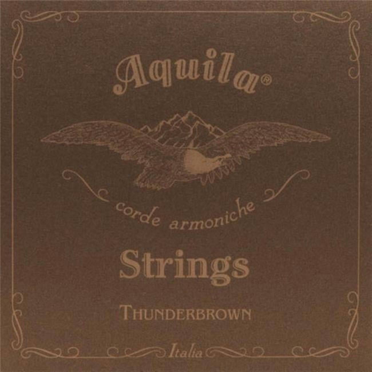 Aquila 28206 26 in. Thunder 4 String Bass Ukelele Strings - Brown