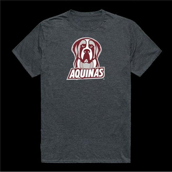 Aquinas College Saints Cinder T-Shirt, Heather Charcoal - 2XL
