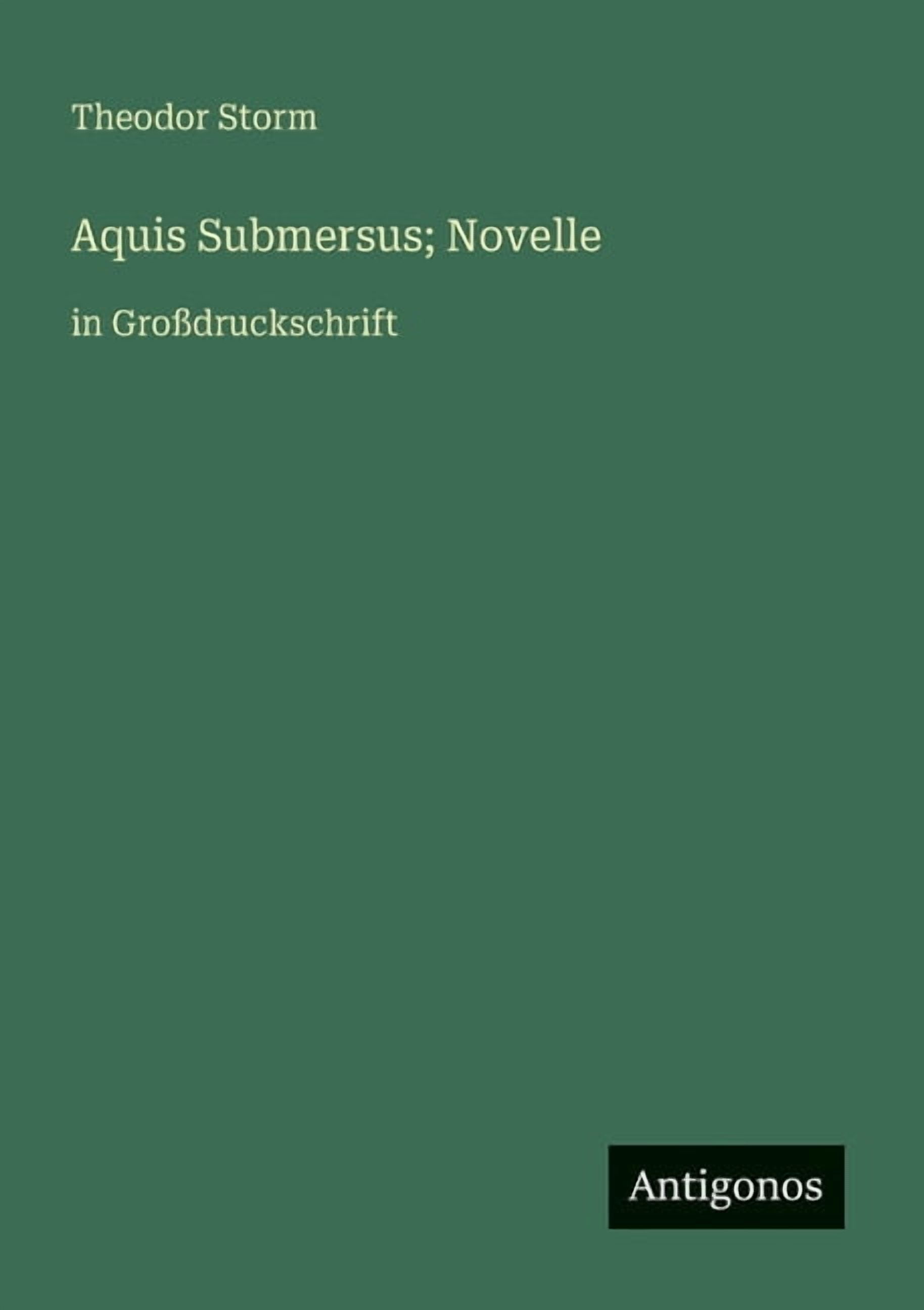 Aquis Submersus; Novelle: in GroÃ druckschrift, (Paperback) - Walmart.com