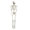 thumbnail image 1 of Aqzb 5.4FT Poseable Skeleton Prop Life Size Plastic Halloween Human Bones Skeleton Party Supplies _Clearance Simulation Skeleton, 1 of 8