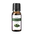 thumbnail image 1 of ArOmis Laurel Leaf Essential Oil - USDA Certified Organic - 100% Pure Therapeutic Grade - 10ml (.34 fl Oz), Undiluted, Premium, Oils Perfect for Aromatherapy Diffuser, 1 of 6