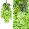 ArWgKavx Reduced Artificial Flowers Hanging Bushy (Each 45inch) Ratta
