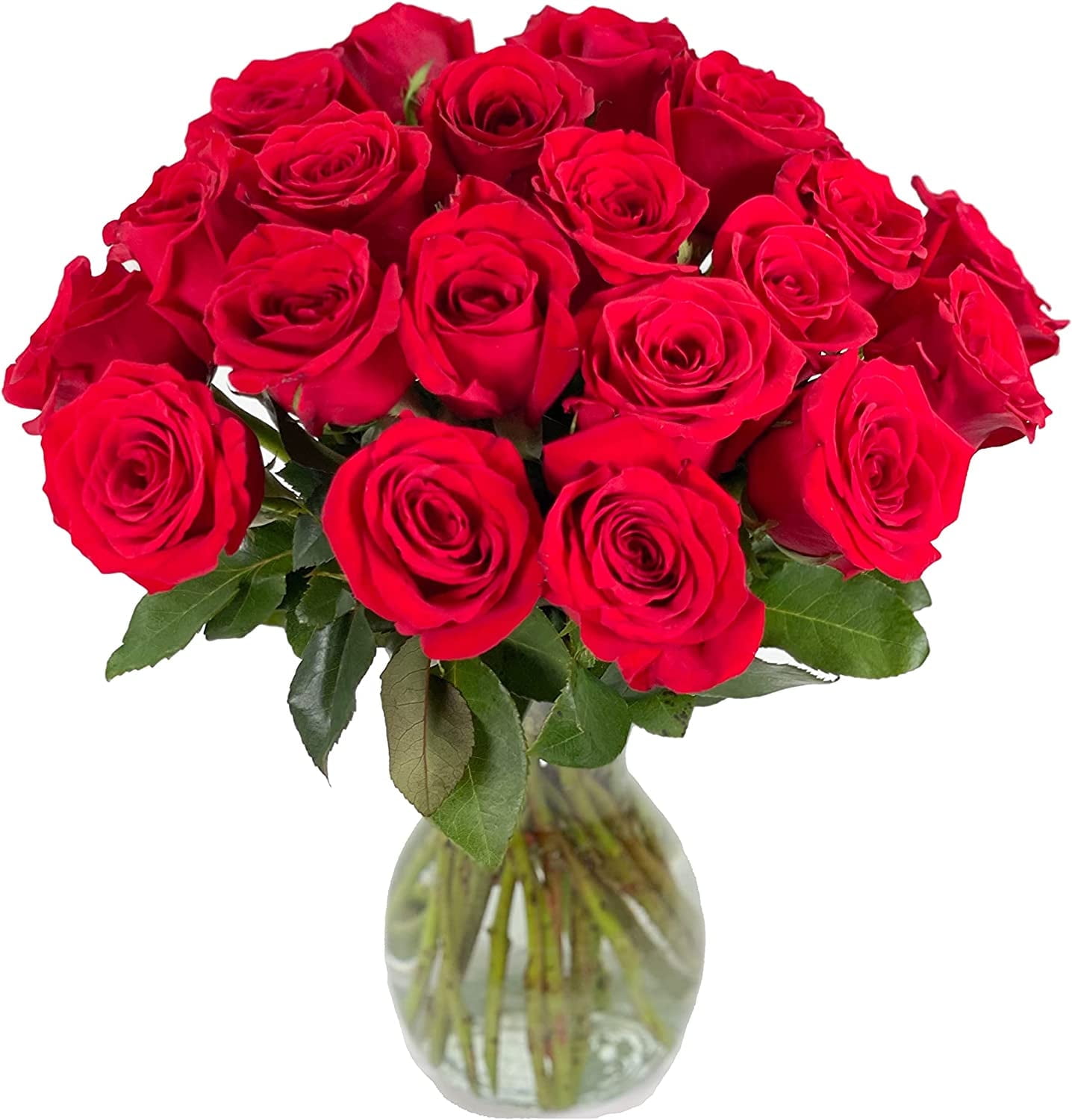 Arabella Bouquets 25 Stems of Fresh Cut Red Roses in a Free Elegant Hand-Blown Glass Vase