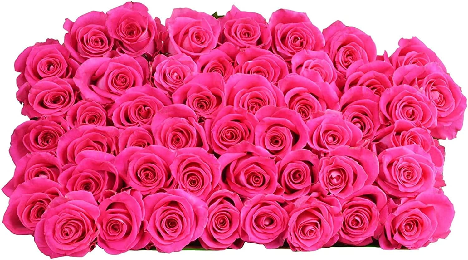 Arabella Bouquets 50 Hot Pink Roses, Cut Flowers