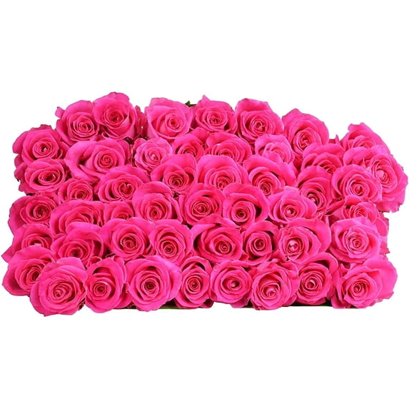 Pink Roses Cut Real Bouquet of 50 Freshly Cut Hot Pink Roses for Delivery Day ...