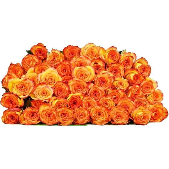 Arabella Bouquets Farm Fresh 50 Yellow Roses