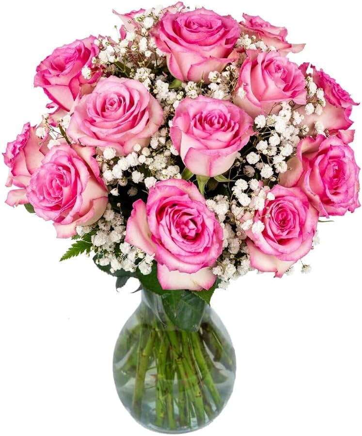 Arabella Bouquets Fresh Cut 18 Pink Roses with Baby's Breath in Vase