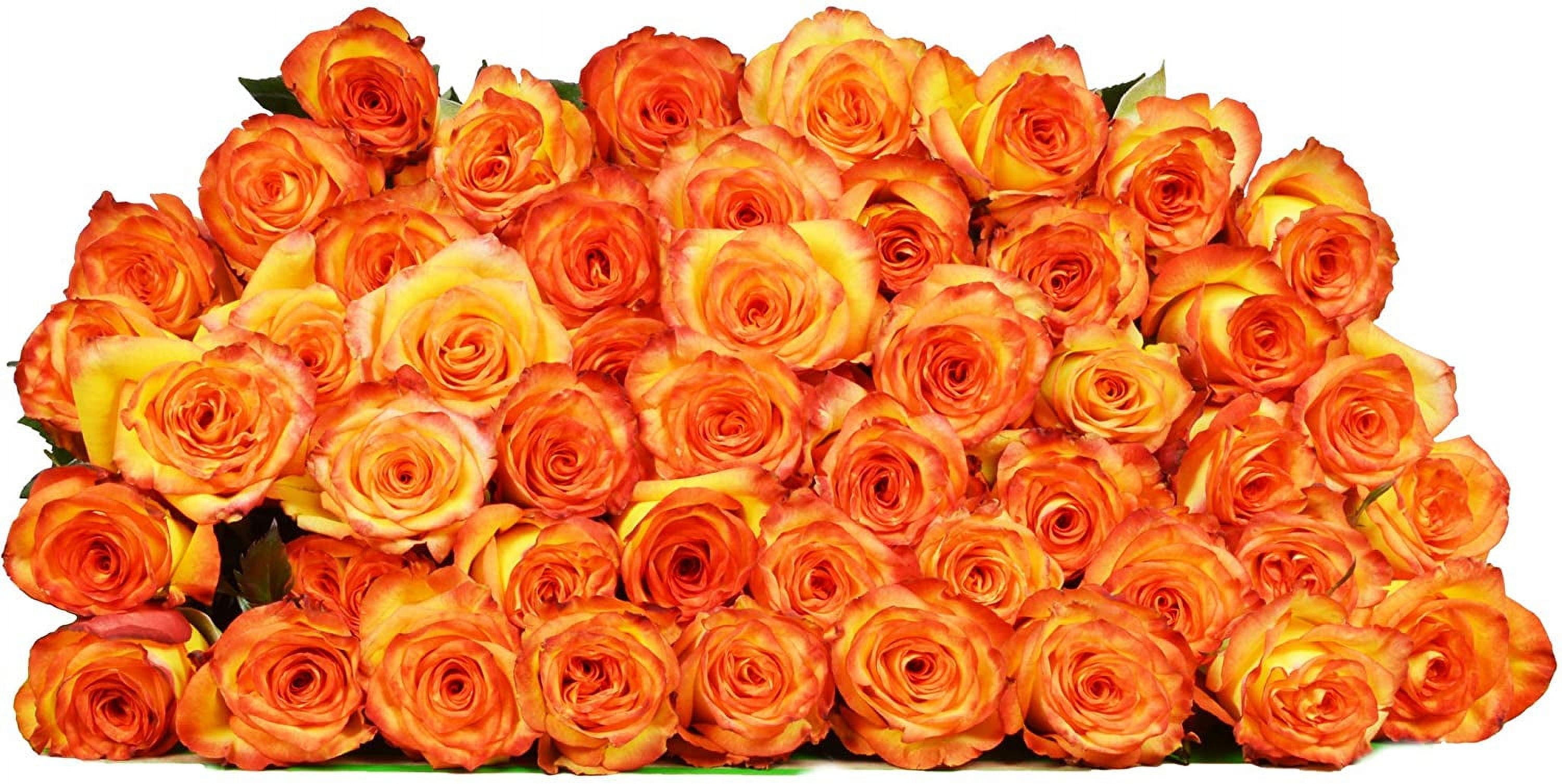 Arabella Bouquets Farm Fresh 50 Yellow Roses