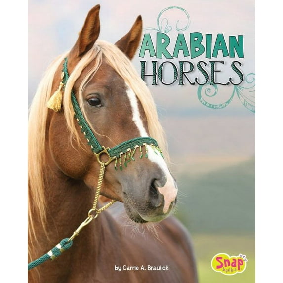 Arabian Horses