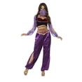 thumbnail image 1 of Arabian Princess Costume Adult Purple Around The World Small Female Fancy Dress Party Book Week Halloween, 1 of 3