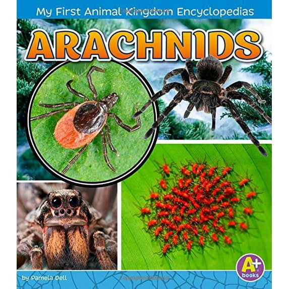 Pre-Owned Arachnids (My First Animal Kingdom Encyclopedias) Paperback