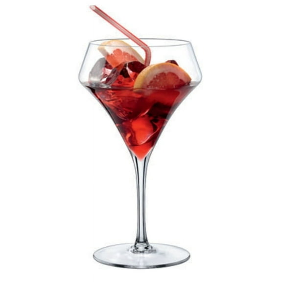 Aram Cockatil, 15 oz. Crystal Drinking Glass, Set of 6