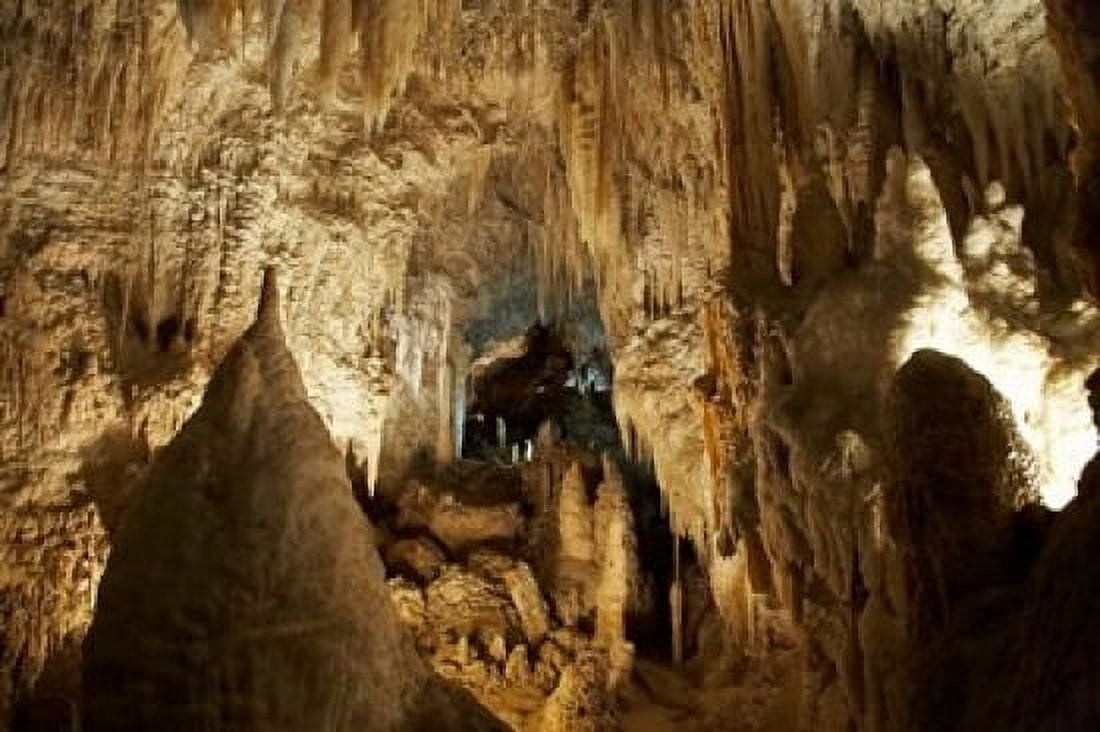 Aranui Cave Waitomo North Island New Zealand Canvas Art - David Wall DanitaDelimont (17 x 11)