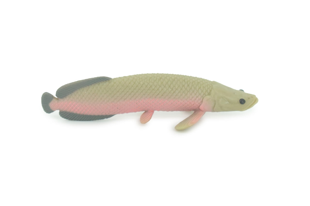 Arapaima Toy, Paiche, Amazon River Basin Fish, Hand Painted