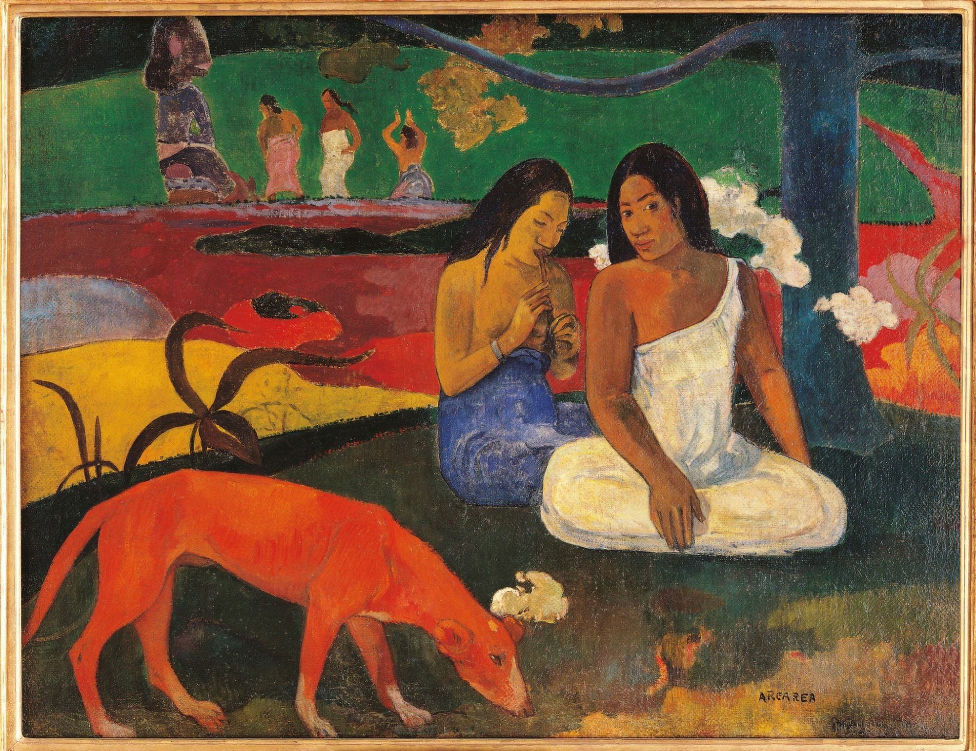 Arara (Jokes) Canvas Art - (24 x 18)