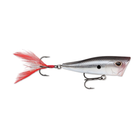 Arashi Cover Pop Hard Bait Lure