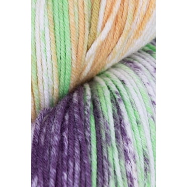 Araucania Huasco Cotton Yarn - 6 New Colors, Super Fine/Sock Weight, Hand-Dyed Designer Yarn (Clearance)