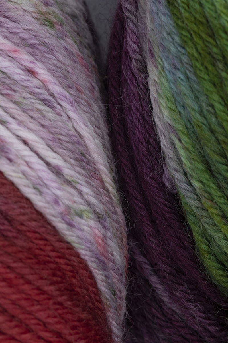 Araucania - Huasco Sock Knitting Yarn - Galapagos Martin (# 1004)