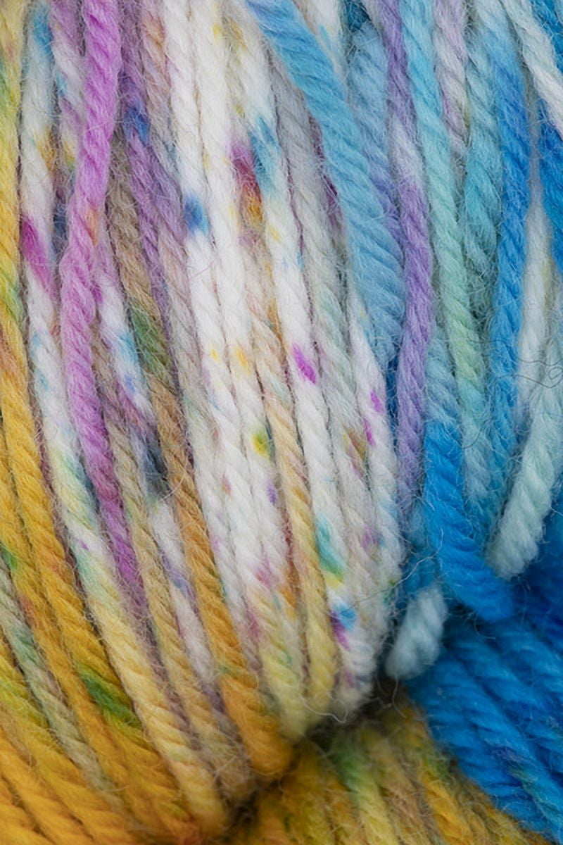 Araucania - Huasco Sock Knitting Yarn - Guacamayo (# 1006)