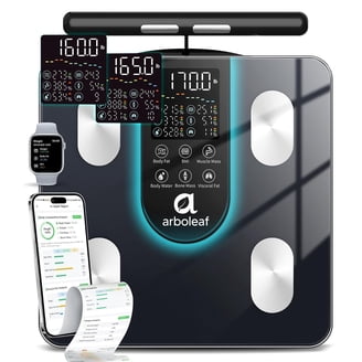 Inbody Body Composition