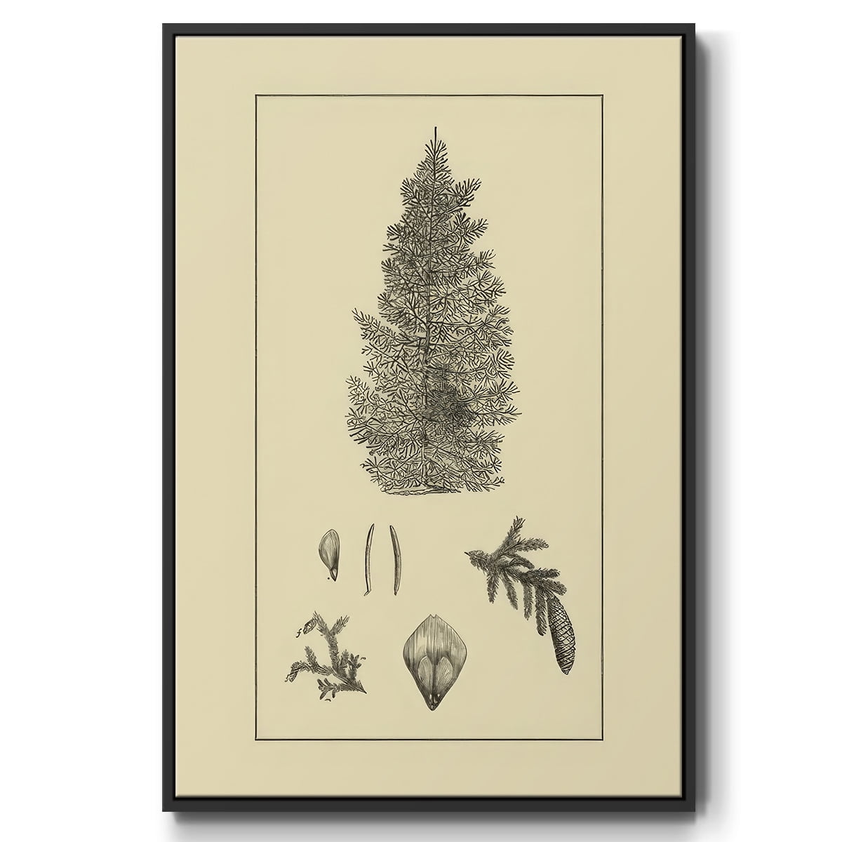 Arbor Study I - Framed Gallery Wrapped Holiday Canvas - 17 x 25 - Black Frame