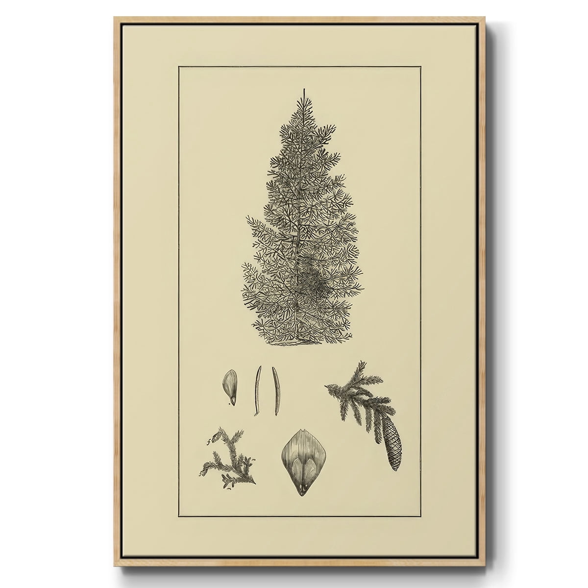 Arbor Study I - Framed Gallery Wrapped Holiday Canvas - 17 x 25 - Natural Wood Frame