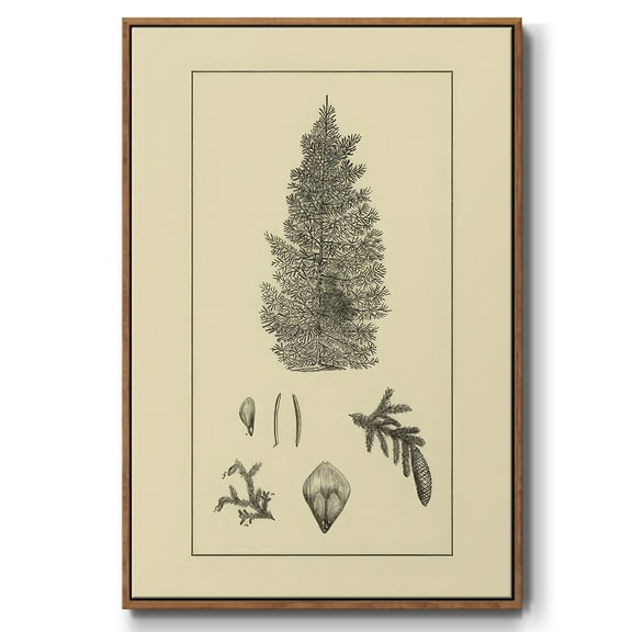 Arbor Study I - Framed Gallery Wrapped Holiday Canvas - 17 x 25 - Rosewood Frame