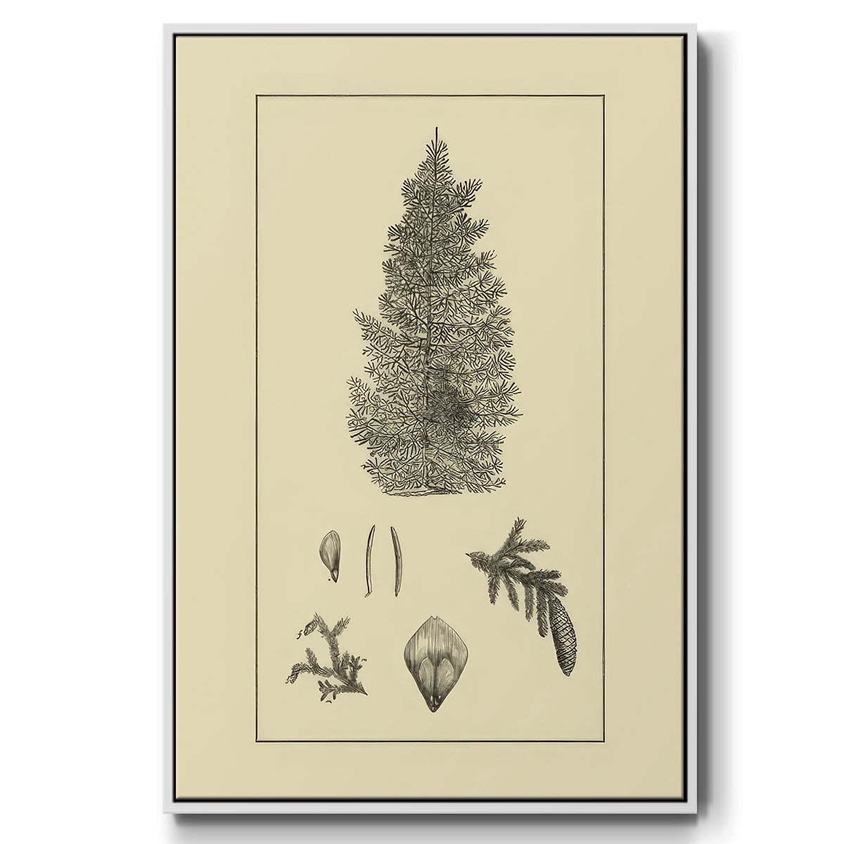 Arbor Study I - Framed Gallery Wrapped Holiday Canvas - 17 x 25 - White Frame