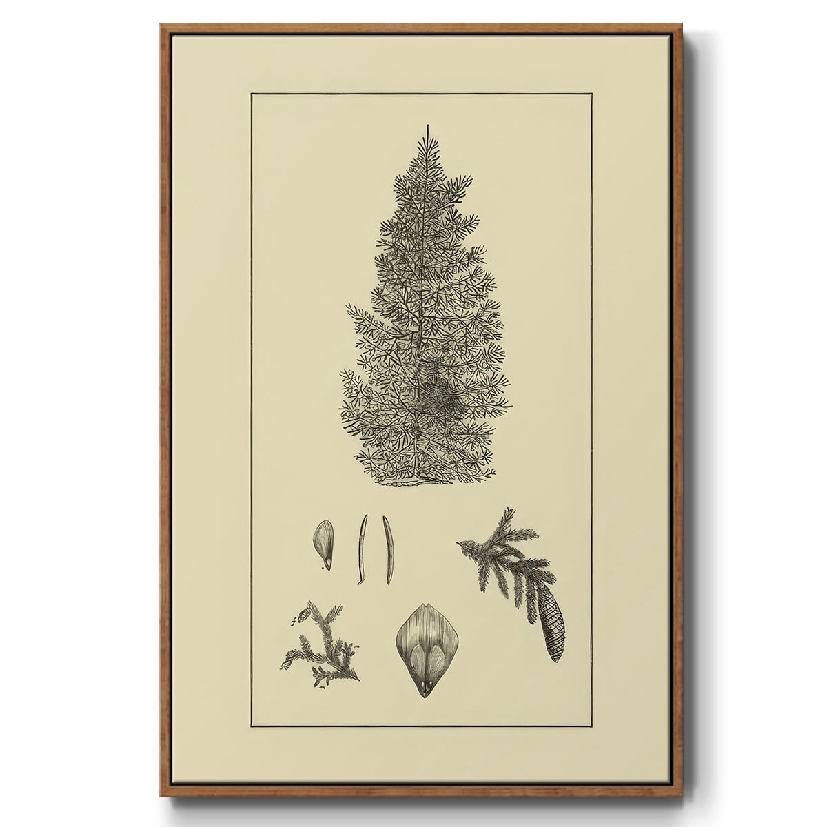Arbor Study I - Framed Gallery Wrapped Holiday Canvas - 25 x 37 - Rosewood Frame