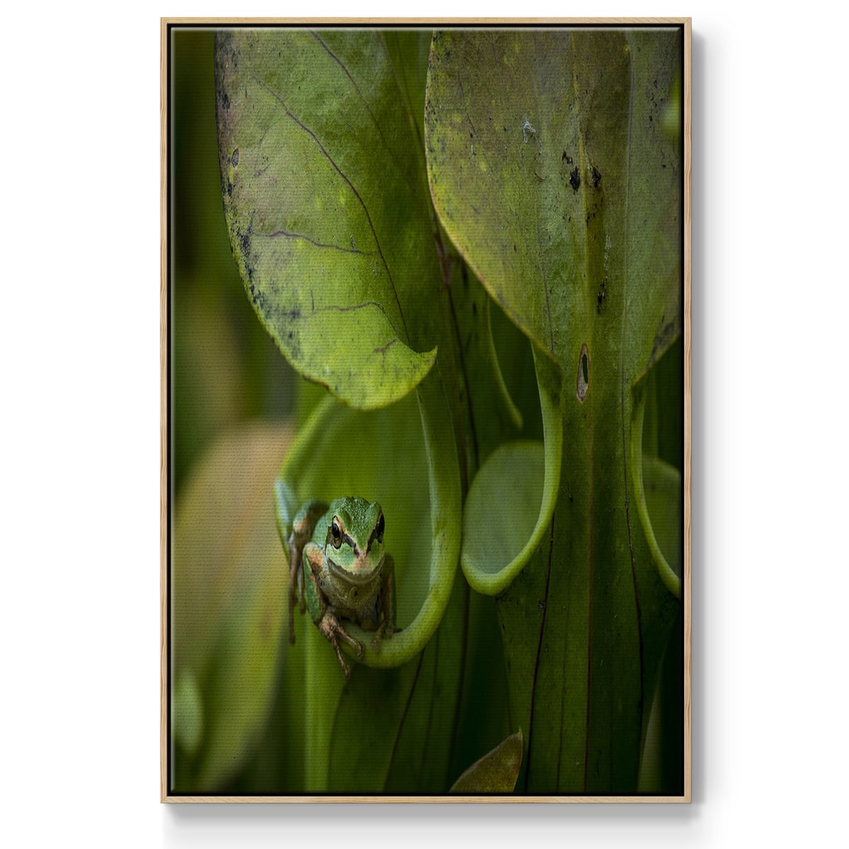 Arboreal Refuge Framed Premium Gallery Wrapped Canvas - Ready to Hang