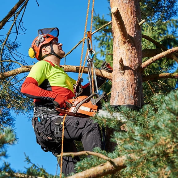 Arborist Rope Climbing Rope Swing for Tree(1/2in x 100ft) Logging Rope 48 Strands for Pull, Swing, Knot (Orange)