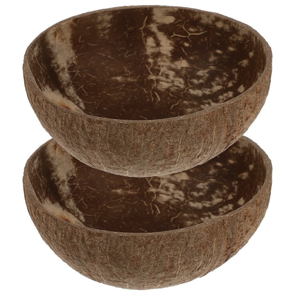 Arborister 2pcs Handmade Hawaii Shell Bowls for Home Decor & Parties