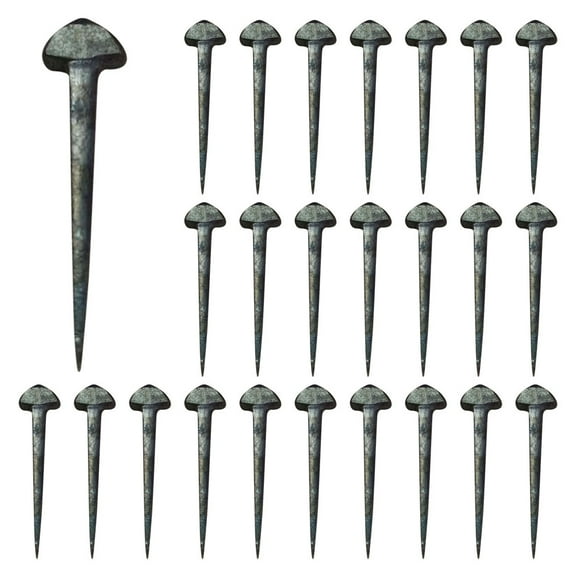 Arborister 50Pcs Stainless Steel Horse Shoe Nails Training Supplies Equipment Accessory