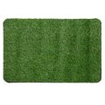 thumbnail image 1 of Arborister Artificial Grass Turf Indoor Outdoor Rug 70x45cm, 1 of 10