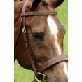thumbnail image 1 of Arc De Triomphe Fox Hunt Bridle (Brown, Full), 1 of 1