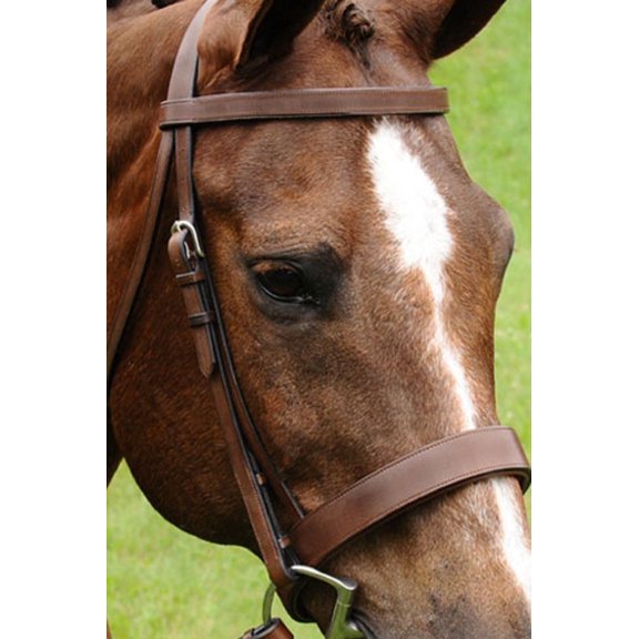 Arc De Triomphe Fox Hunt Bridle (Brown, Full)